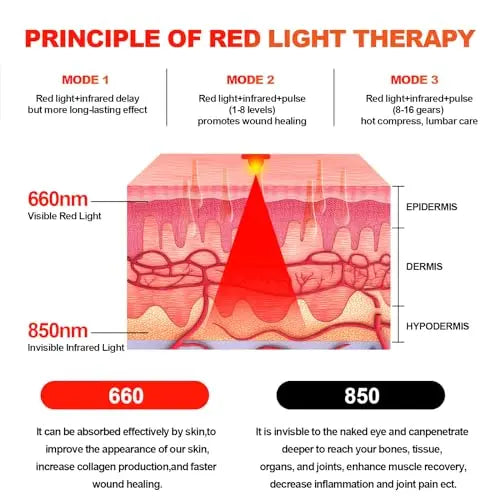 Red Light Therapy Belt Vibrating for Muscle Recovery and Pain Relief DYUF Au supplements