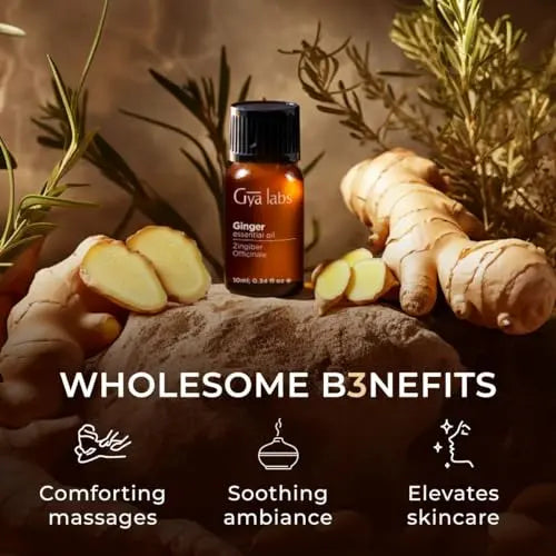 Gya Labs Ginger Oil for Comfort - Natural Ginger Essential Oil for Massage Oil - Ginger Oil Gya Labs Au supplements