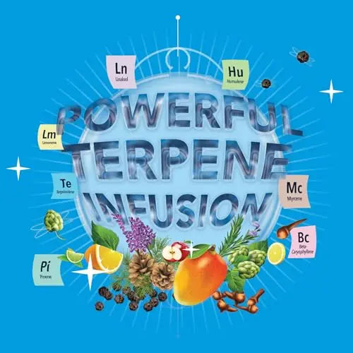 Integra Boost - Terpinolene Infusion - 4 Gram Terpene Essentials Two-Way Humidity Control at 62 Percent RH Integra Boost Au supplements