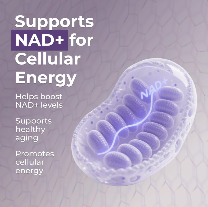 Neurogan Beta NMN (β-NMN) Supplement 500 mg per Serving, High Purity – NAD+ Precursor for Cellular Energy & Vitality – 120 Capsules (2-Month Supply) – Made in USA Neurogan Au supplements