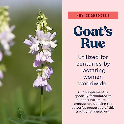 Goat's Rue Lactation Supplement For Increased Breast Milk, Lactation Supplement Mommy Knows Best Au supplements
