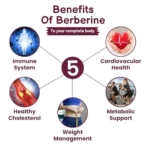 SHRISHA HERBAL Indian Berberine 1500mg - Berberine HCl 500mg Per Capsule - Support SHRISHA HERBAL Au supplements