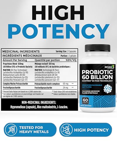 Renew Actives Probiotic Supplement for Digestive Health 60 Billion CFU per 2 Capsules - Advanced Formula with Prebiotic Benefits - Supports Gut Flora Balance & Wellness - Made in Canada - 60 Capsules Renew Actives Au supplements