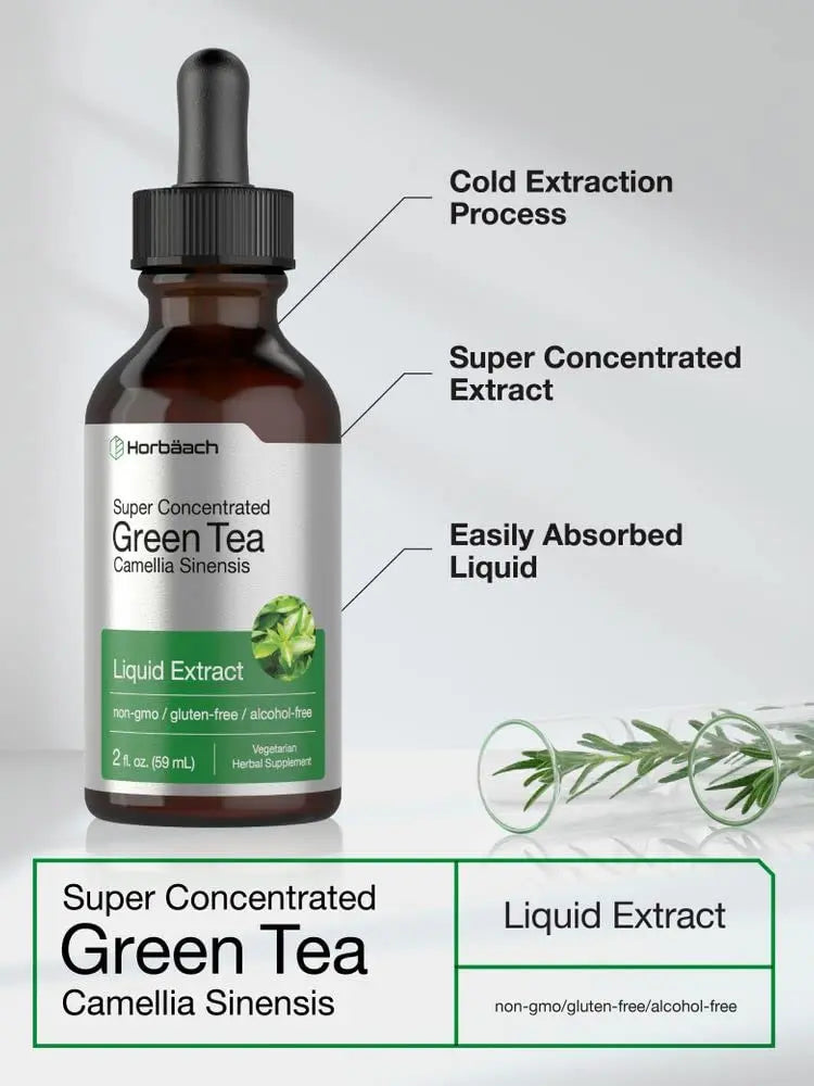 Green Tea Extract Liquid | 2 Fl Oz | Alcohol Free, Vegetarian Tincture | Super Concentrated Horbäach Au supplements