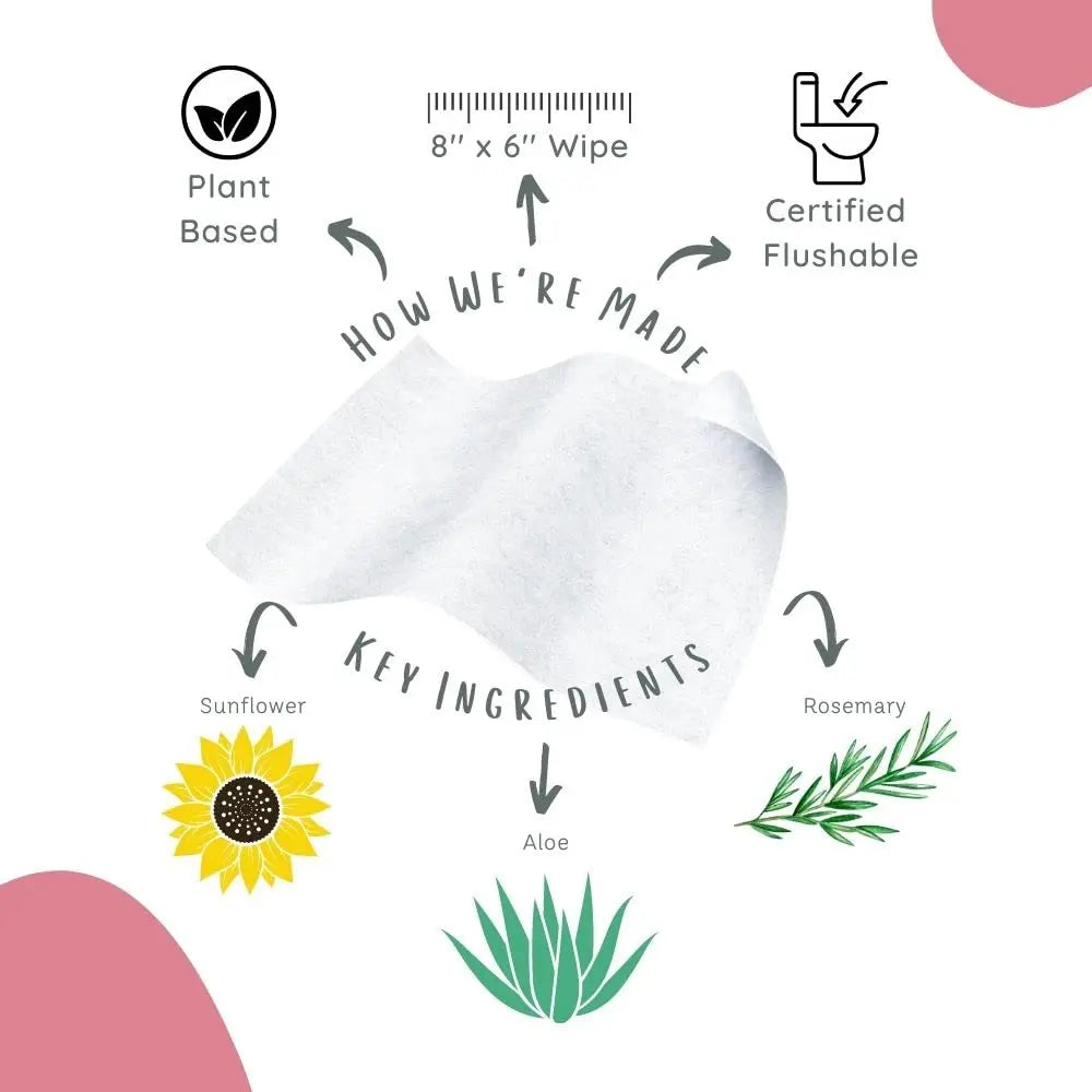Stall Mates Wipes Feminine Fresh - Flushable | Individually Wrapped Cleansing Travel Friendly PH Stall Mates Wipes Au supplements