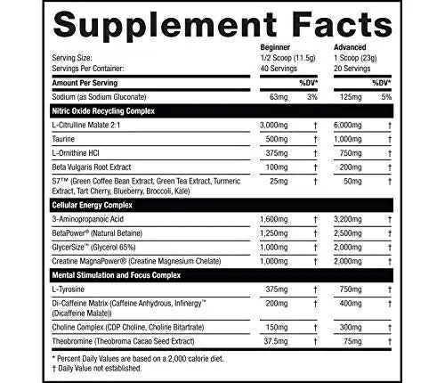 Rhino Black Pre Workout V2 - Preworkout Powder Supplement for Men & Women Musclesport Au supplements