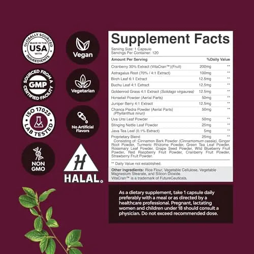 Kidney Support Cranberry Supplement for Women and Men - High Strength Kidney Natures Craft Au supplements