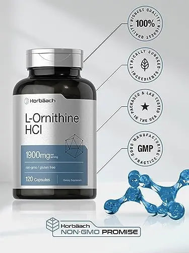 L Ornithine HCl | 1900mg | 120 Capsules | Non-GMO & Gluten Free Supplement Horbäach Au supplements