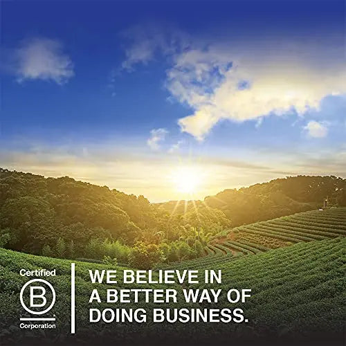 Garden of Life Super Seed - Vegetarian Whole Food Fiber Supplement with Protein and Omega 3 Garden of Life Au supplements