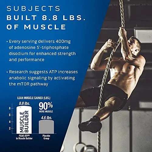 MuscleTech Muscle Building Supplements for Men & Women - Nitric Oxide MuscleTech Au supplements