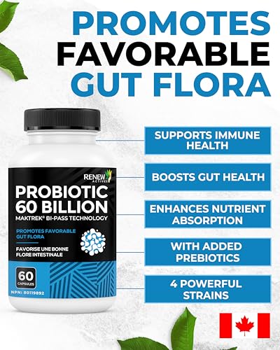 Renew Actives Probiotic Supplement for Digestive Health 60 Billion CFU per 2 Capsules - Advanced Formula with Prebiotic Benefits - Supports Gut Flora Balance & Wellness - Made in Canada - 60 Capsules Renew Actives Au supplements