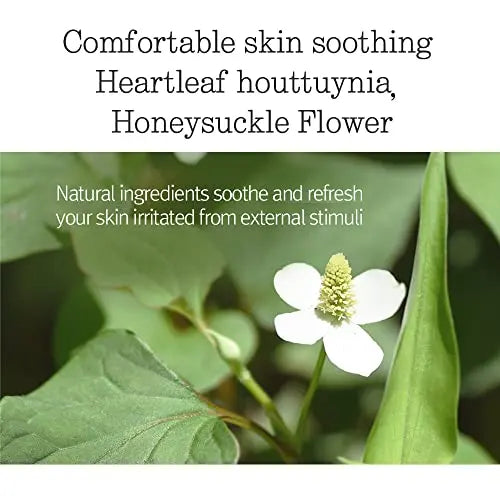 Pyunkang Yul Low pH Feminine Wash with Green Tea, Cica, Moisturizing for Women Vaginal Health Pyunkang Yul Au supplements