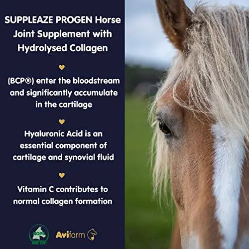 Aviform SUPPLEAZE PROGEN Horse Joint Supplement with Hydrolysed Collagen 1kg Aviform Au supplements