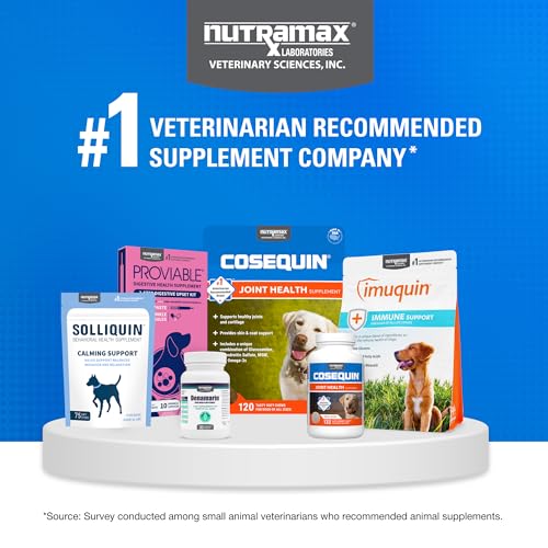 Nutramax Cosequin Joint Health Supplement with Multifunctional Support for Dogs, Soft Chews with Glucosamine, Chondroitin, Omega-3s, and Postbiotics, 90 Count Nutramax Laboratories Au supplements