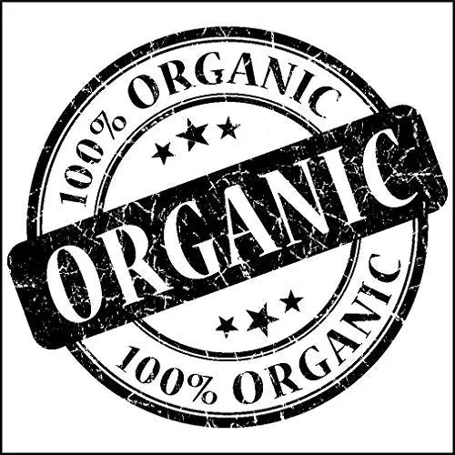Canah Hemp Up Organic Protein Shake Powder – Muscle gain & Boost up Immune System, HEMP UP! Au supplements