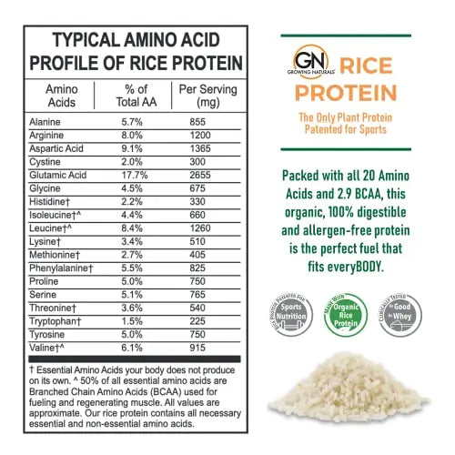 Growing Naturals | Vanilla Rice Powder 15g Plant Protein | 2.8G BCAA, Low-Carb Growing Naturals Au supplements