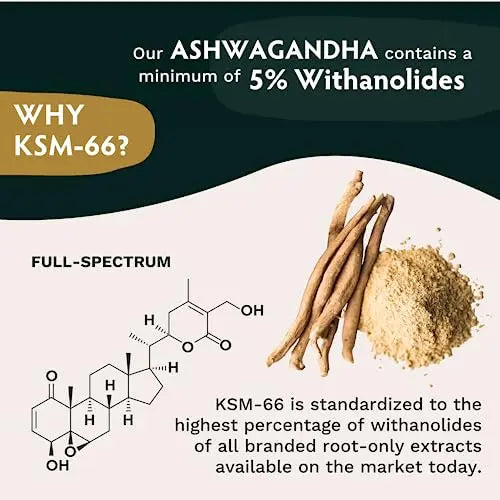 TRIBE ORGANICS Vegan Ashwagandha KSM 66 Pure Organic Root Powder Extract Ayurvedi TRIBE ORGANICS Au supplements