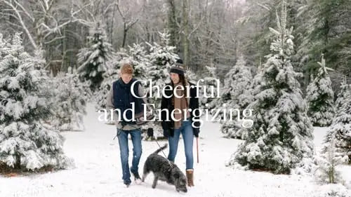 Aera Majestic Fir Home Fragrance Scent Refill - Notes of Fir and Juniper - Works with The Aera Diffuser AERA Au supplements