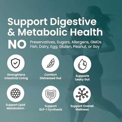 Akkermansia Muciniphila Probiotics for Digestive Health - 5 Billion TFU Akkermansia Probiotic UpNourish Au supplements