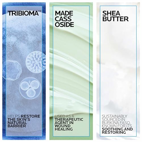 La Roche-Posay Cicaplast Balm B5 UV SPF 50, Vitamin B5 + Shea Butter + Tribioma + Madecassoside + Zinc Oxide Sunscreen
