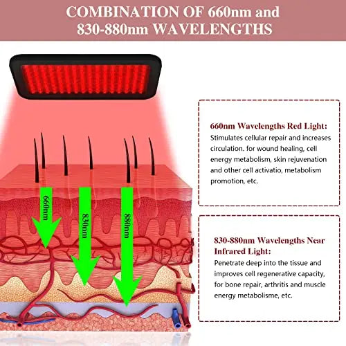 Red Light Therapy Belt, Infrared Light Therapy Wrap Red Light Therapy Device for Body, Pain Relief Jitesy Au supplements