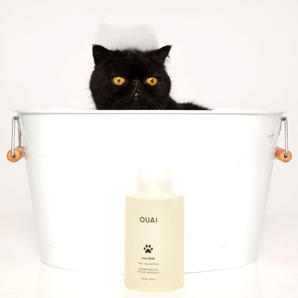 OUAI Fur Bébé Pet Shampoo, Mercer Street Scent - Dog Shampoo and Coat Wash for Hydrating, Cleansing and Adding Shine - Pet Supplies by OUAI (16 Fl Oz) OUAI Au supplements