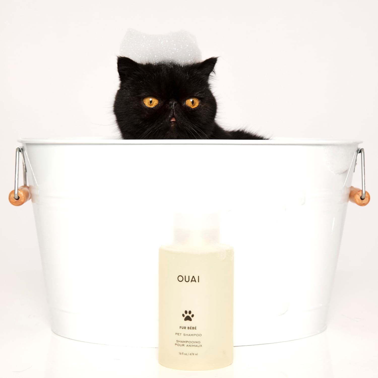 OUAI Fur Bébé Pet Shampoo, Mercer Street Scent - Dog Shampoo and Coat Wash for Hydrating, Cleansing and Adding Shine - Pet Supplies by OUAI (16 Fl Oz) OUAI Au supplements