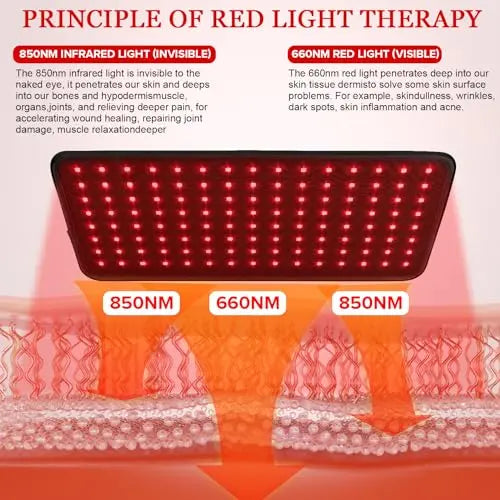 Yofalo 660nm LED Red Light and 850nm Near Infrared Red Light Therapy Belt Device for Body Pain Waist yofalo Au supplements