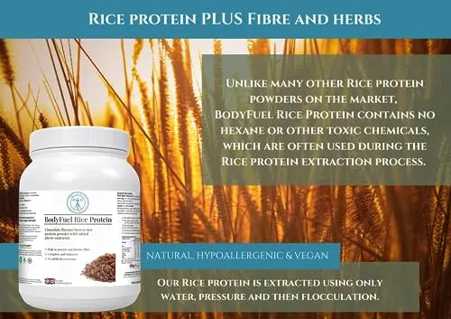 Complementary Supplements | BodyFuel Brown Rice Protein Powder Plus Chicory, Green Tea Complementary Supplements Au supplements