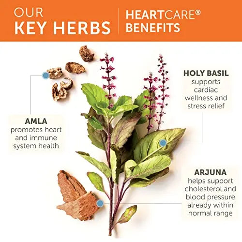 Himalaya HeartCare, Cholesterol and Blood Pressure Supplements for Cardiovascular Himalaya Au supplements