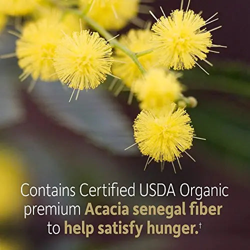 Garden of Life Dr Formulated Organic Fiber Supplement Powder Unflavored, Sugar Free Garden of Life Au supplements