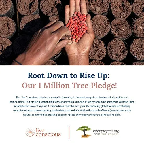 Live Conscious Beyond Collagen Multi Collagen Capsules - Types I, II, III, V & X Live Conscious Au supplements