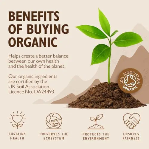 Sevenhills Wholefoods Organic Rice Protein Powder, Vegan, 2kg Sevenhills Wholefoods Au supplements