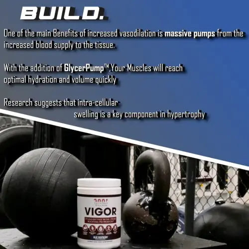 Leviathan Wellness Vigor - Stimulant Free, Nitric Oxide Boosting Pre-Workout Powder Leviathan Wellness Au supplements