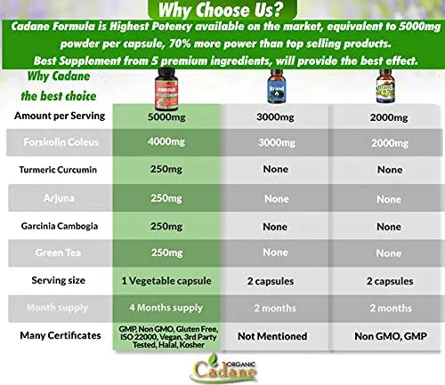 2 Packs Organic Forskolin Supplements Capsules 5000mg with Turmeric, Arjuna, Garcinia Cambogia Organic Cadane Au supplements