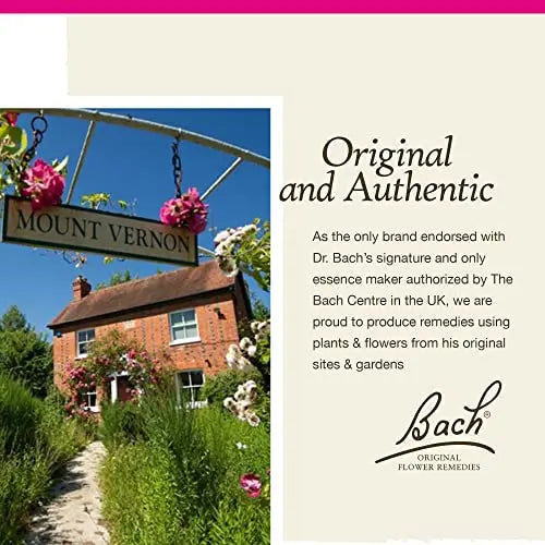 Bach Original Flower Remedies, Star of Bethlehem for Grief and Shock (Non-Alcohol Formula) Bach Au supplements