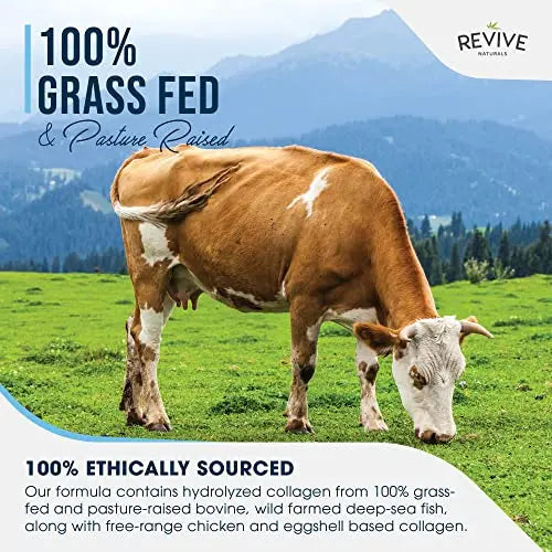 Multi Collagen Protein Capsules - Types I, II, III, V & X - Hydrolysed Grass Fed Bovine, Wild Caught Marine Revive Naturals Au supplements