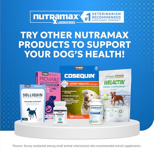 Nutramax Cosequin Elements Dog Joint Health Supplement with Glucosamine, Green Lipped Mussel, Omega-3s, Eggshell Membrane, Hyaluronic Acid, & Postbiotics, 75 Tasty Chewable Tablets for Dogs Nutramax Laboratories Au supplements