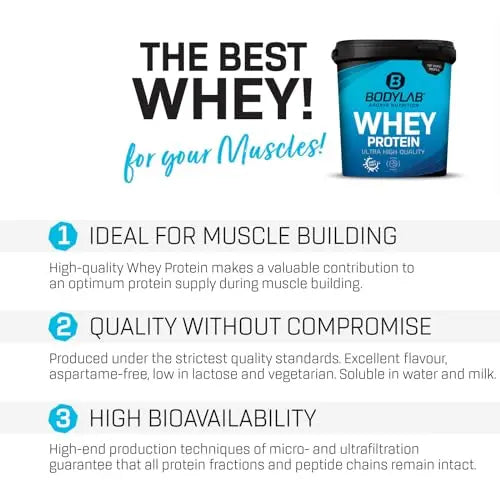 Bodylab24 Whey Protein Powder Milk Chocolate 1kg, Protein-Shake for Your Workout Bodylab24 Au supplements