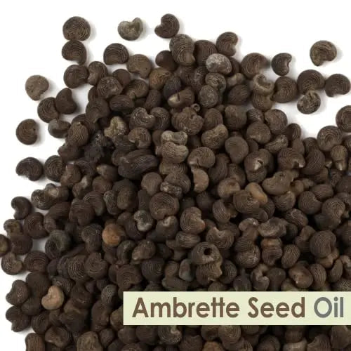 Crysalis Ambrette Seed (Abelmoschus moschatus) Oil - 0.51 Fl Oz (15ml) Crysalis Au supplements
