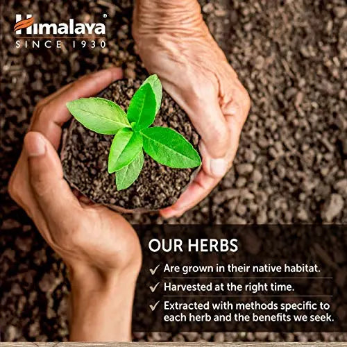 Himalaya HeartCare, Cholesterol and Blood Pressure Supplements for Cardiovascular Himalaya Au supplements