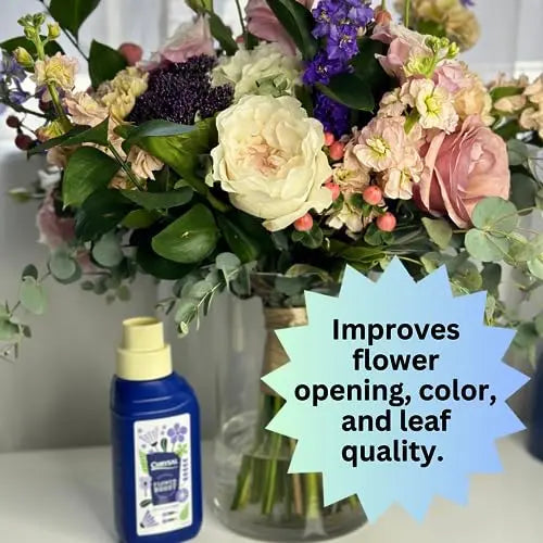 Chrysal Cut Flower Universal Food (10 ml/L Bottle) — Increase The Flower Boost with Floral Supplies Chrysal Au supplements