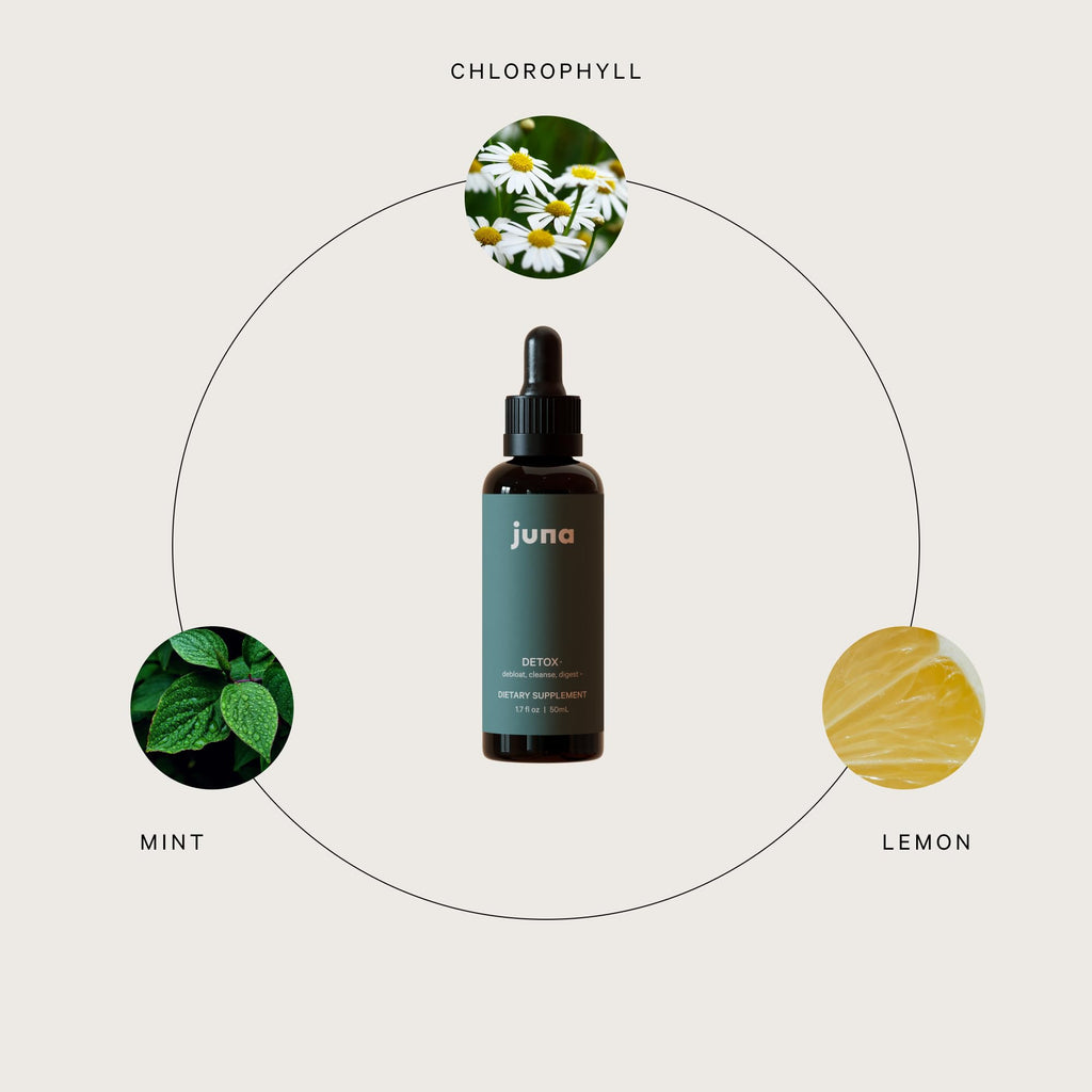 Juna Detox Chlorophyll Drops — Daily Wellness & Detox Support | Lemon Mint Spa Water Taste | Supports Cellular Health, Cleanse