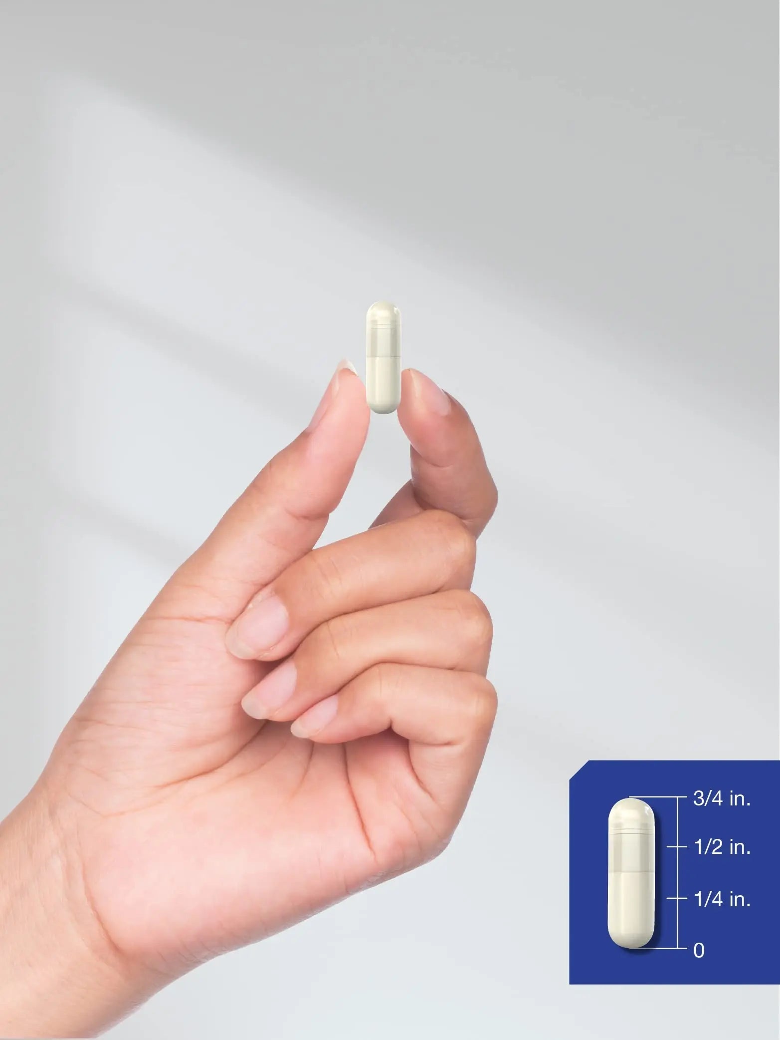 GABA 750mg | 180 Capsules | Gamma Aminobutyric Acid Supplement Horbäach Au supplements