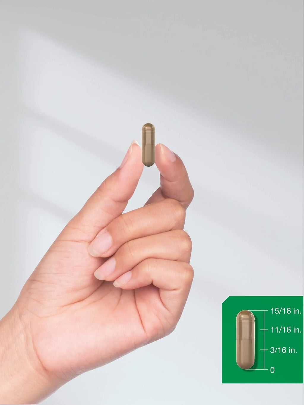 Graviola Extract 2000 mg 120 Capsules With Graviola Proprietary Blend Ingredient Horbäach Au supplements