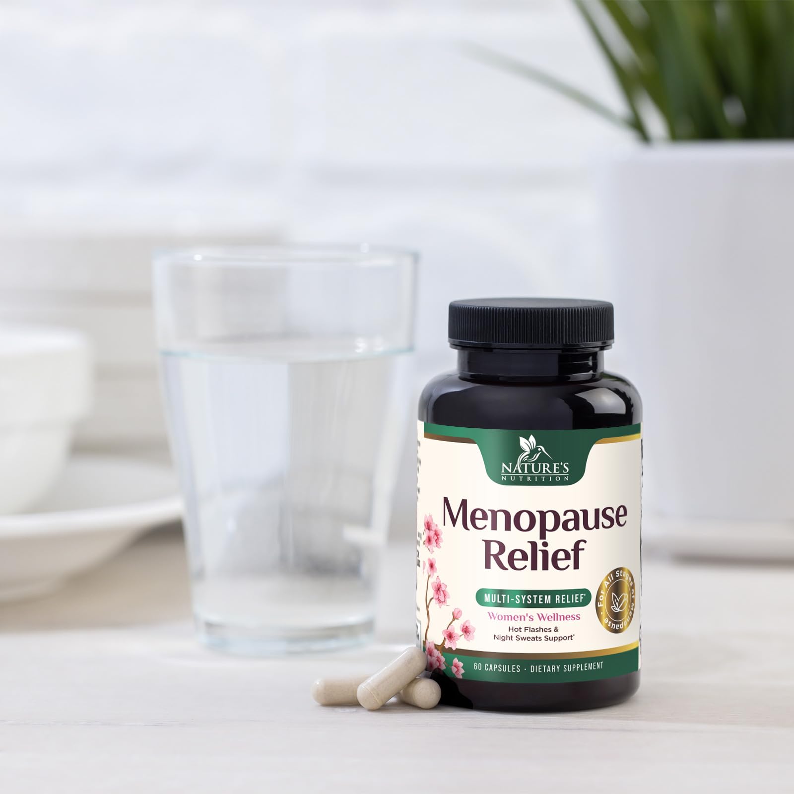 Menopause Supplement for Women - Natural Menopause Relief Support for Mild Hot Flashes & Night Sweats - Best Probiotics for Women, Dong Quai, Black Cohosh, Ashwagandha - Bottled in USA - 60 Capsules Nature's Nutrition Au supplements