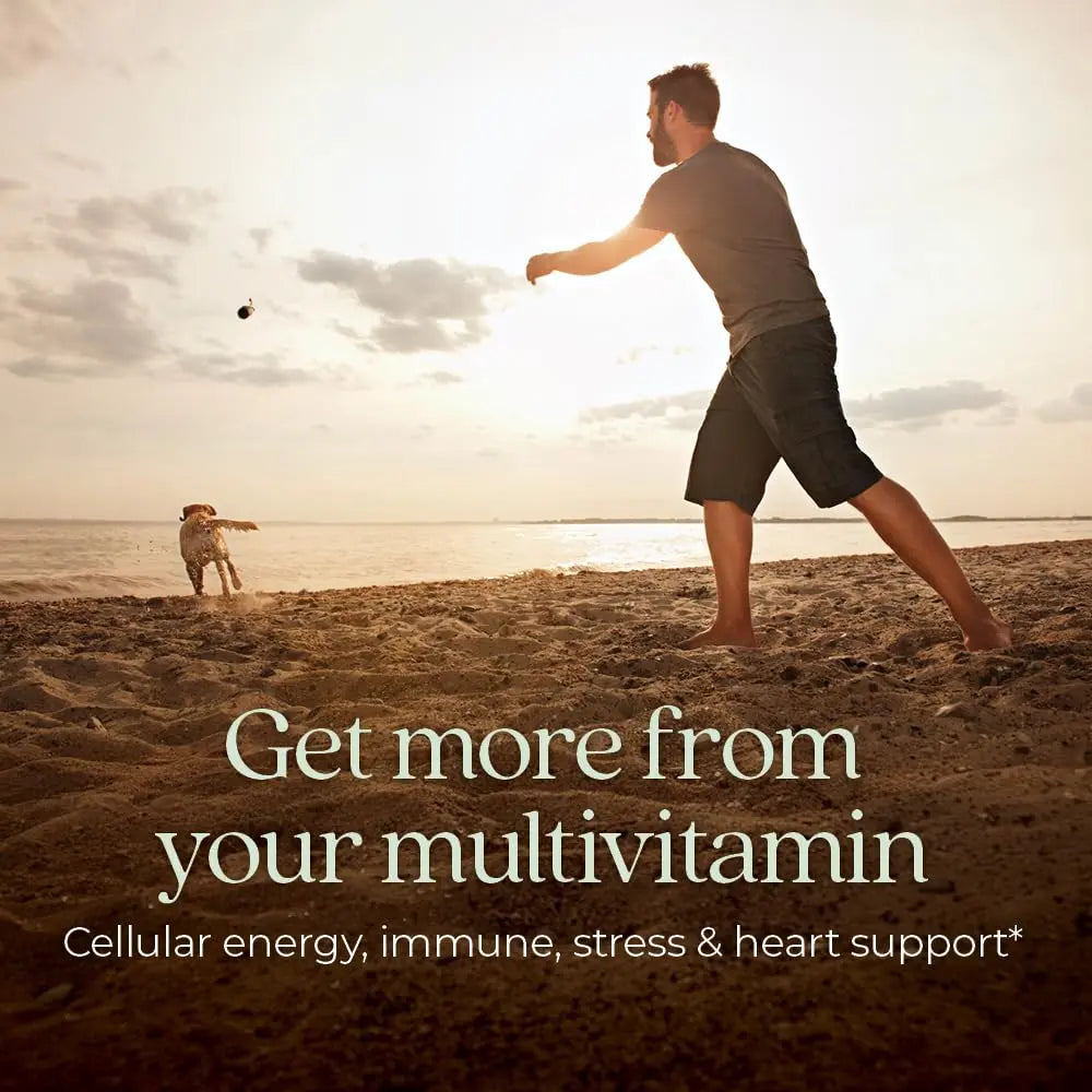 New Chapter Men’s Multivitamin, B6, Extra B12, D3, Vitamin C & Zinc, Immune, Heart, Cellular Energy, and Brain Health New Chapter Au supplements