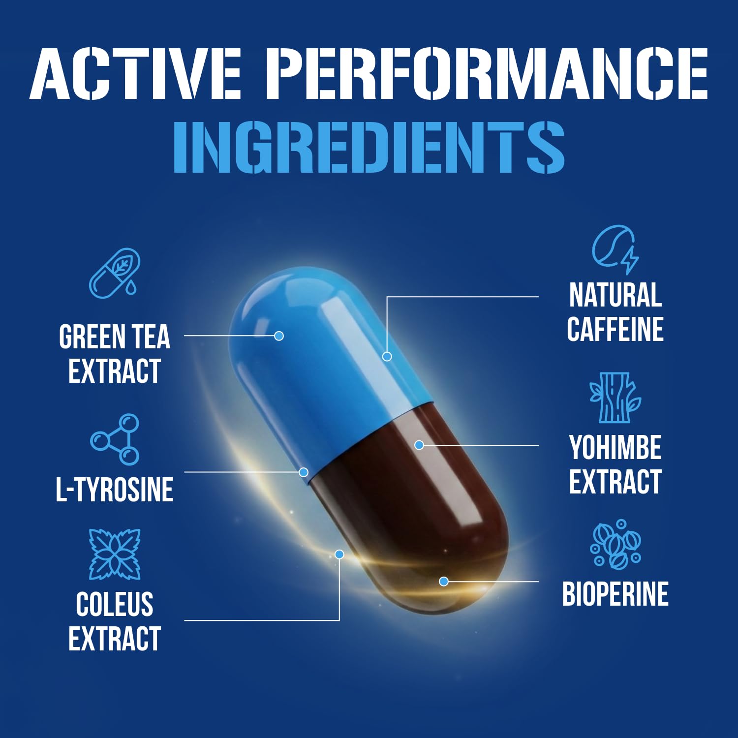 EVL Thermogenic Fat Burner Support - Fast Acting Weight Loss Energy and Appetite Support - Trans4orm Green Tea Supplement