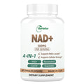 NAD Supplement 500mg, Pure Organic NAD+ Supplement for Women & Men, NAD+ with Trans-Resveratrol & CoQ10 & Quercetin for Cellular Energy & Healthy Aging, NMN Alternative (90 Vegan Caps) VitaHarbor Au supplements
