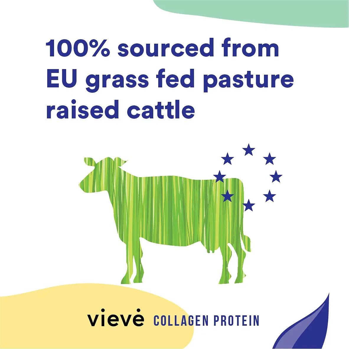 Vieve Collagen Protein Powder - Hydrolysed Bovine Peptides - Diet Support Supplement for Skin, Hair, Nail Vieve Au supplements